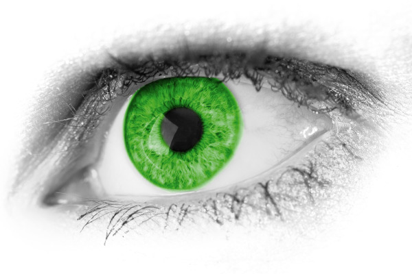 Occhio Verde Loghi