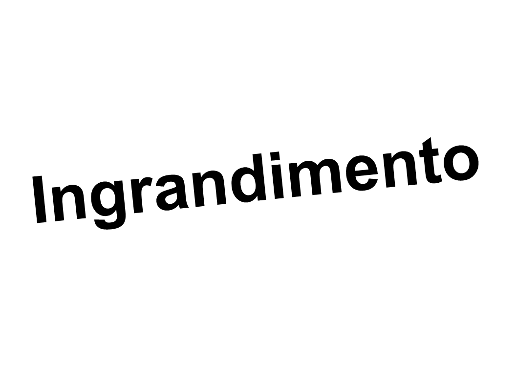 Ingrandimento 1