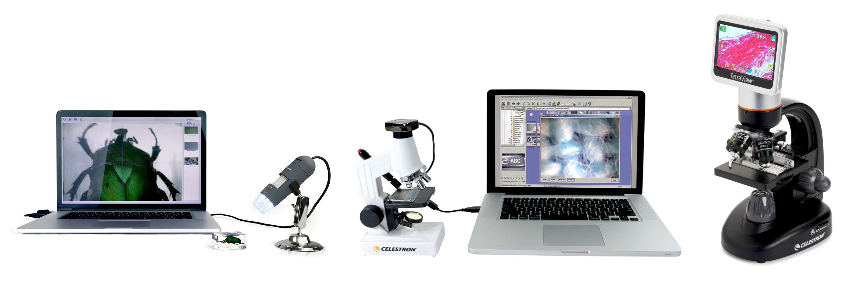 Microscopi digitali Celestron a Vicenza